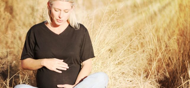 Naturheilkundlicher Ratgeber für Schwangerschaft und Geburt