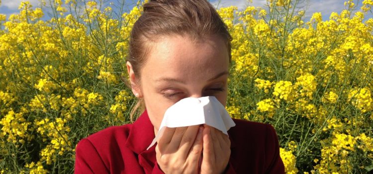 Freie Nase trotz Pollenflug