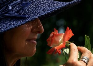 Schnuppertag Wild- und Heilkräuterausbildung @ Naturheilpraxis Anne Hentschel