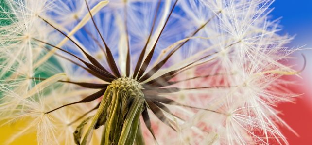 Chakren und Diaphragmen II Chakren und Diaphragmen II